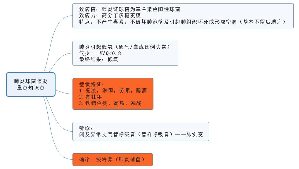 肺炎球菌肺炎重點知識點