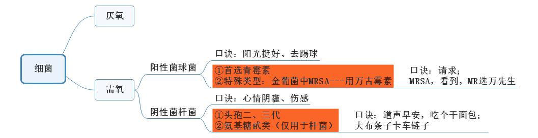 肺炎細菌感染總結(jié)