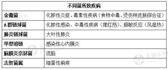 不同菌所致疾病