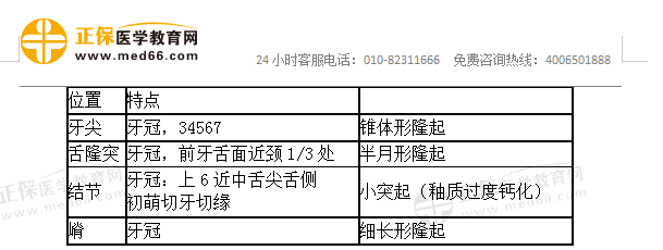 口腔解剖生理學(xué)易混淆考點(diǎn)