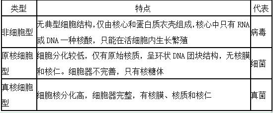 微生物按細胞結構特點