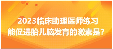 2023臨床助理醫(yī)師練習(xí)-促進(jìn)胎兒腦發(fā)育的激素是？