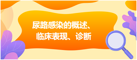 尿路感染的概述、臨床表現(xiàn)、診斷