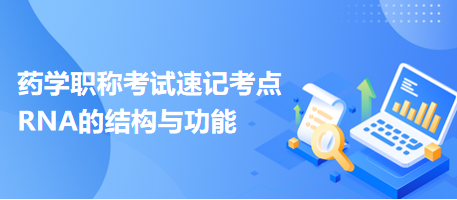 2024藥學職稱考試速記考點：RNA的結(jié)構與功能