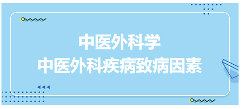 中醫(yī)外科疾病致病因素