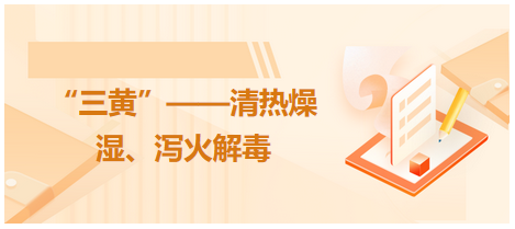 “三黃”——清熱燥濕、瀉火解毒