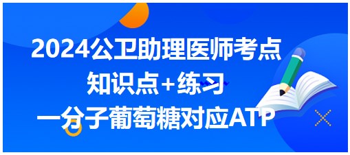 一分子葡萄糖對(duì)應(yīng)ATP